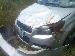 Aveo4
