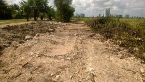 Manglar_devastado10