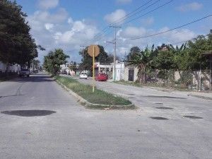 baches cedro