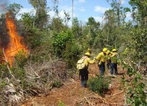 incendios