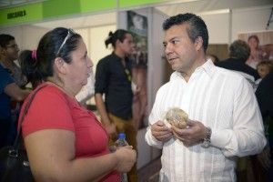 soli negocios3