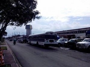 buses 1