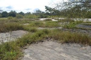 cancha de la juan bautista vega 2