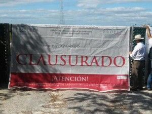 clausura dragon mart