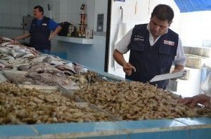 Inspeccion a Establecimientos