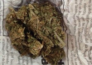 Mota