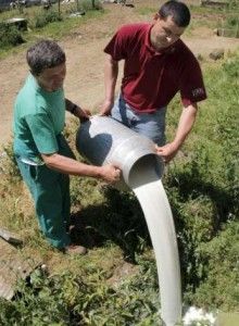 Leche Desperdiciada1