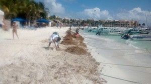 Limpieza playas1