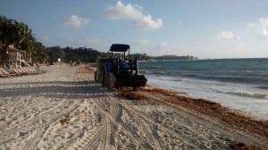 Limpieza playas3