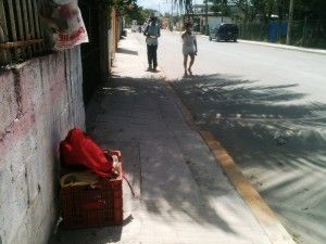 basura en tulum