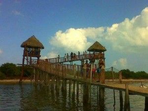 isla pajaros