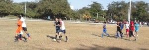 lobos 2