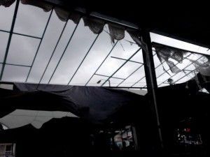 mercado 1