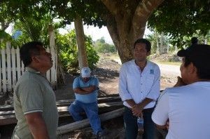 panales02