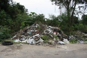 Basureros (2)