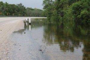 Inundación parcial de vía federal3