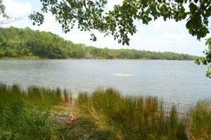 Laguna kana (4)