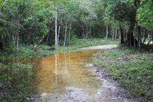 Riesgo de inundación santa amalia2