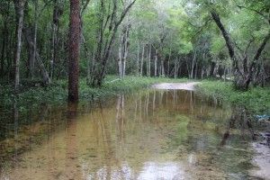 Riesgo de inundación santa amalia3