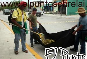 Soli limpio (1)