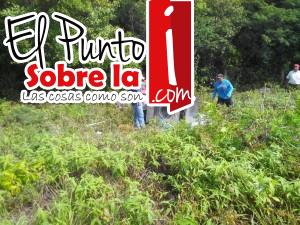 Bacalar (2)