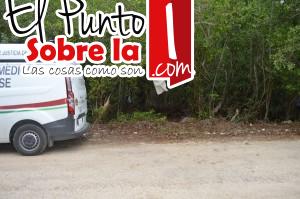 Osamenta (2)