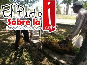 Imagen urbana solidaridad (7)