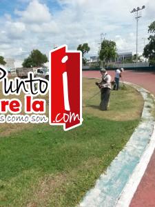 Imagen urbana solidaridad (8)