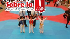 Oro y platas en panamericano2