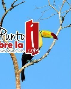 fotos para exposicion (1)
