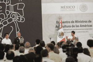 Mau EPN (1)