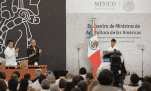 Mau EPN (2)