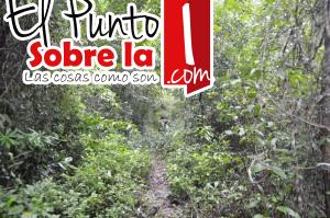 Osamenta (1)