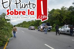 Osamenta (2)