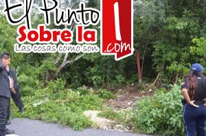 Osamenta (3)
