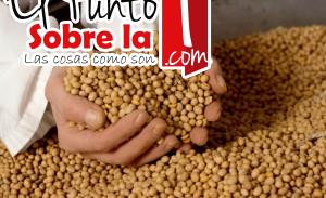 Soya