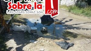 Baches