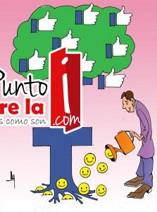 Huerto social