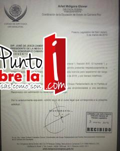 licencia arlet