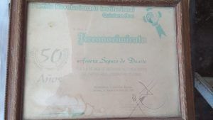 Aurorita Reconocimiento
