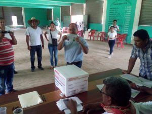 VOTANDO (2)