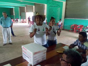 VOTANDO (3)